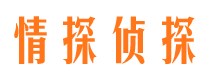 上海外遇调查取证